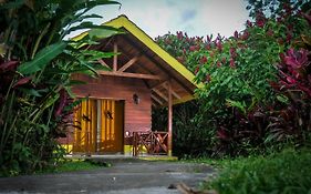 Selvita Lodge Arenal